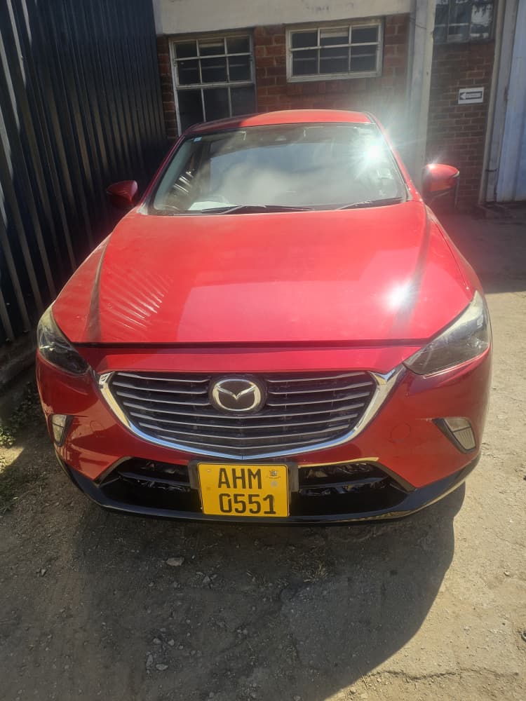 Spray Painting repair by Dentmasters